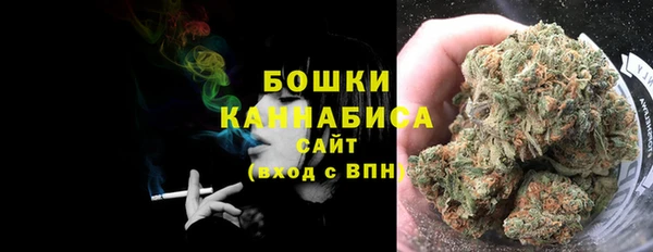 гашик Горняк