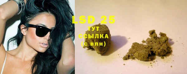 эйфоретик Вяземский