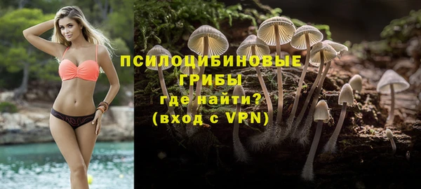 эйфоретик Вяземский