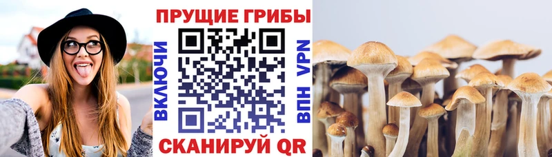 Галлюциногенные грибы ЛСД  hydra ССЫЛКА  Джанкой 